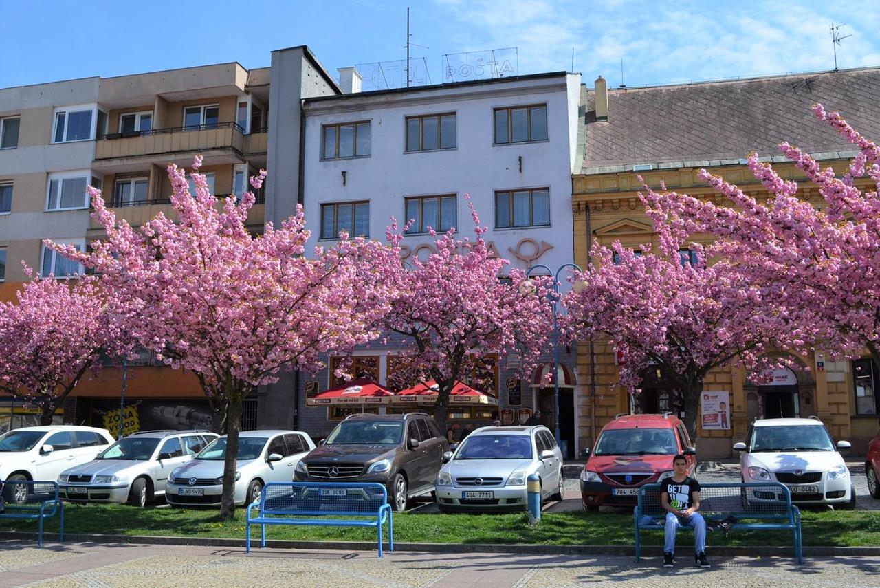 Hotel Posta Дечин Екстер'єр фото